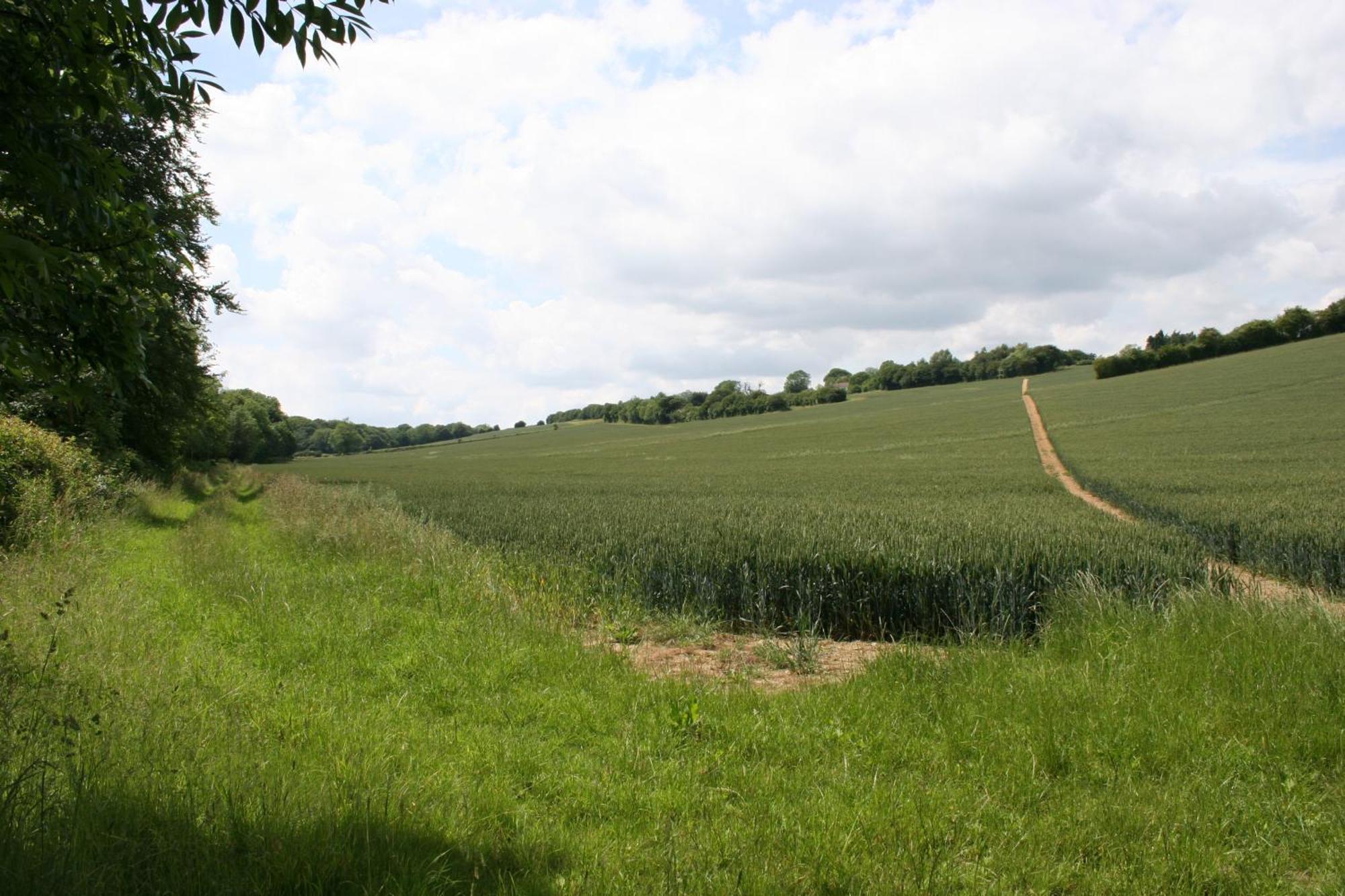 Five Cottages In Aonb And A Hobbit House! Canterbury Bagian luar foto